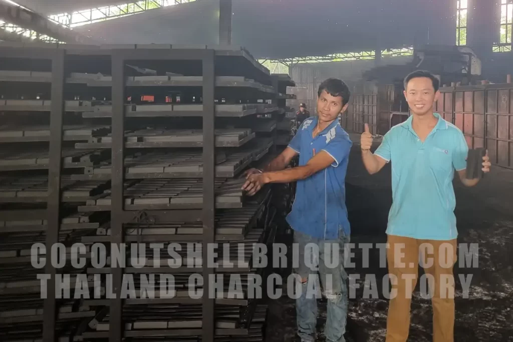 Thailand Professional and Biggest Charcoal Factory, Supply Coconut Shell Charcoal, Wood Charcoal, Binchotan White Charcoal