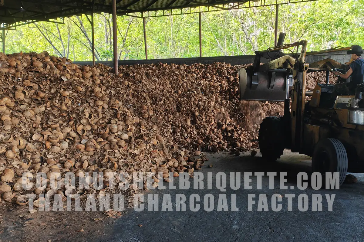 Grade A+ Coconut Shell Charcoal Briquette from Thailand Charcoal Factory