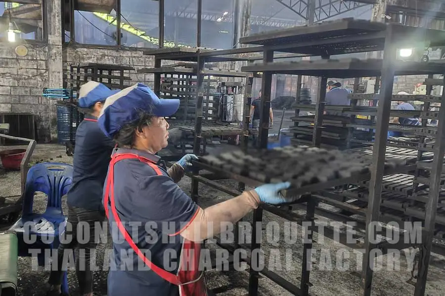 Thailand Charcoal Briquette Factory manufacturing Grade A+ Natural Charcoal Briquette